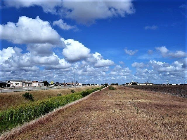 8.7 acres in San Patricio County - photo 8