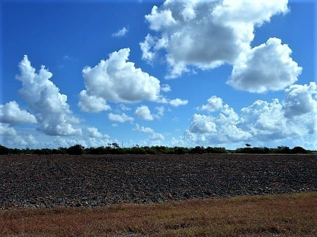 8.7 acres in San Patricio County - photo 4