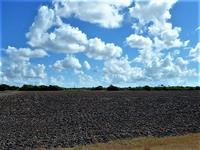 8.7 acres in San Patricio County - photo 20