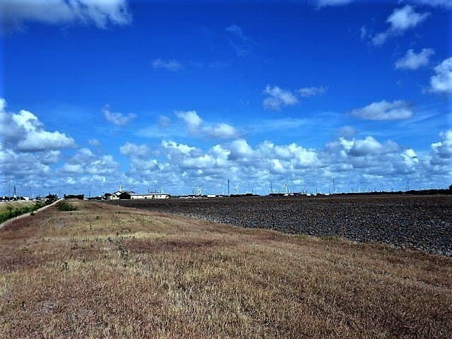 8.7 acres in San Patricio County - photo 9