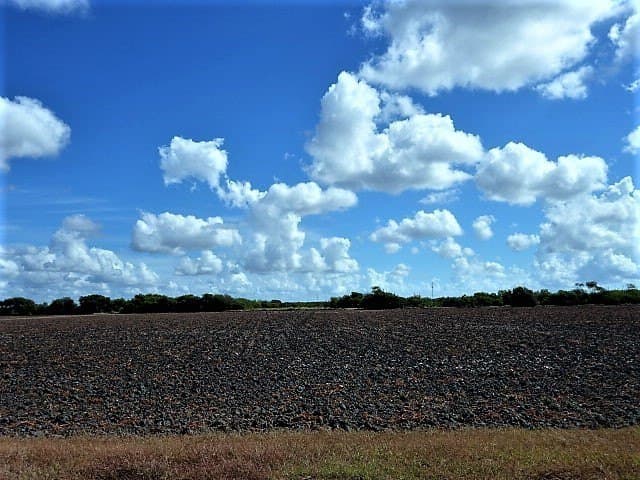 8.7 acres in San Patricio County - photo 16