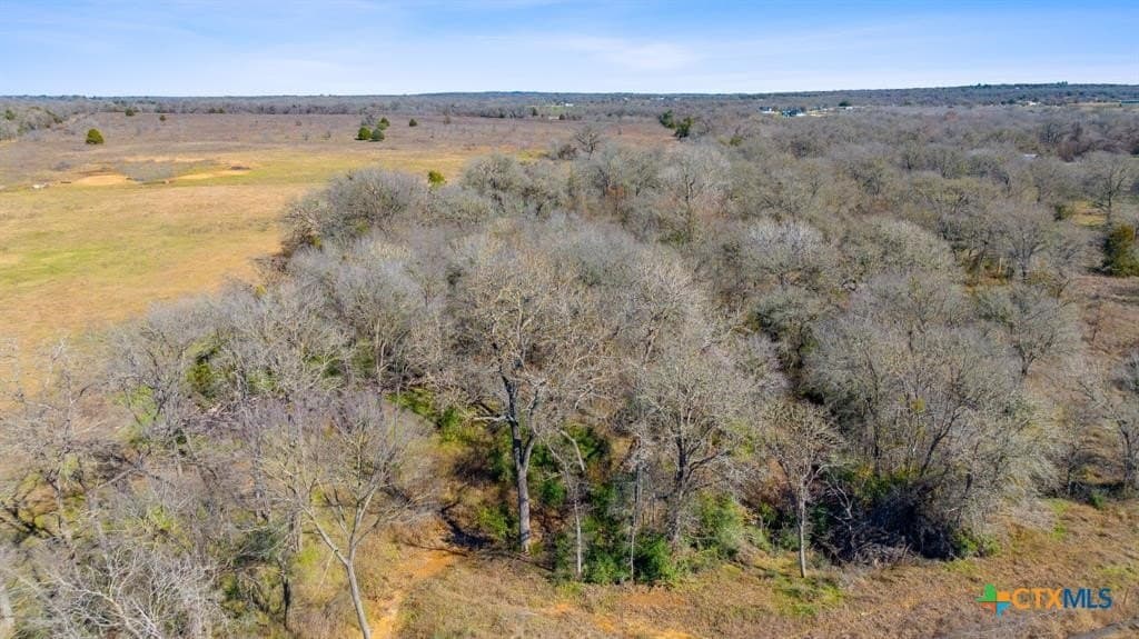 95.87 acres in Bastrop County - photo 11