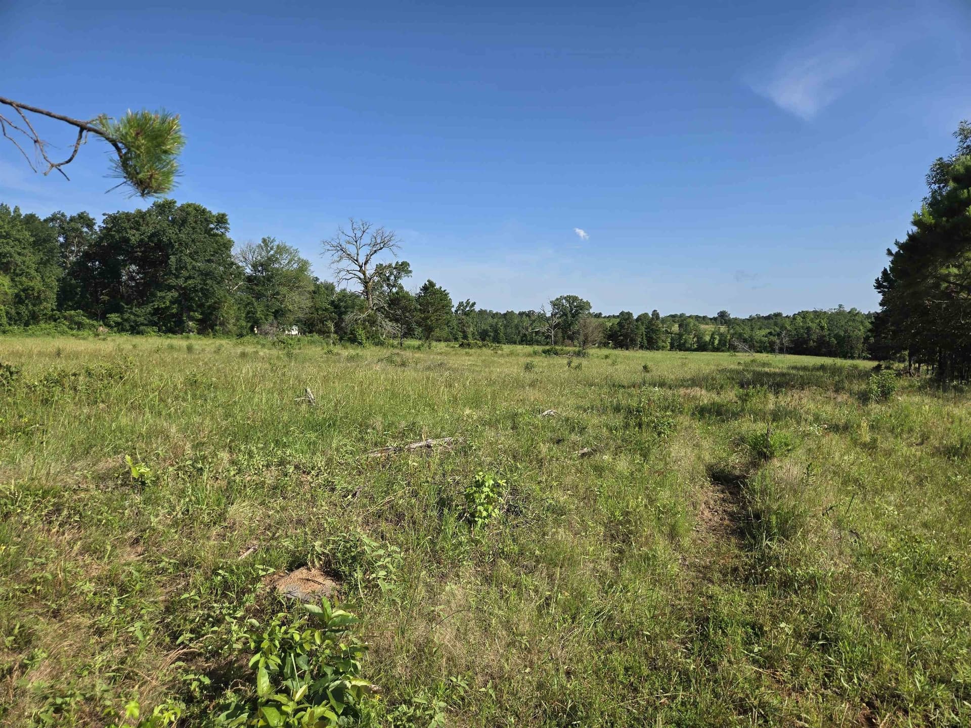 35.49 acres in Texas County - photo 8