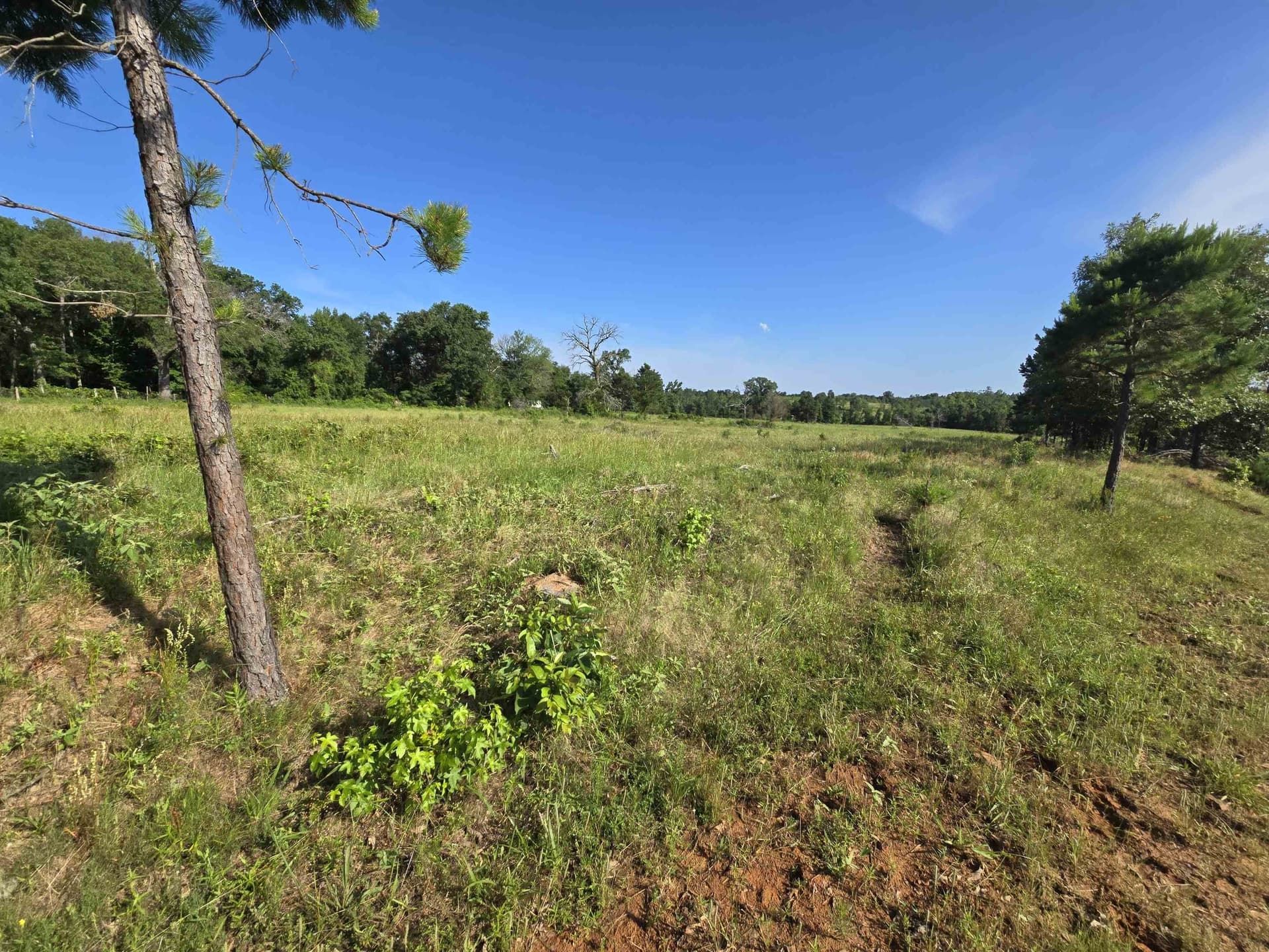35.49 acres in Texas County - photo 7