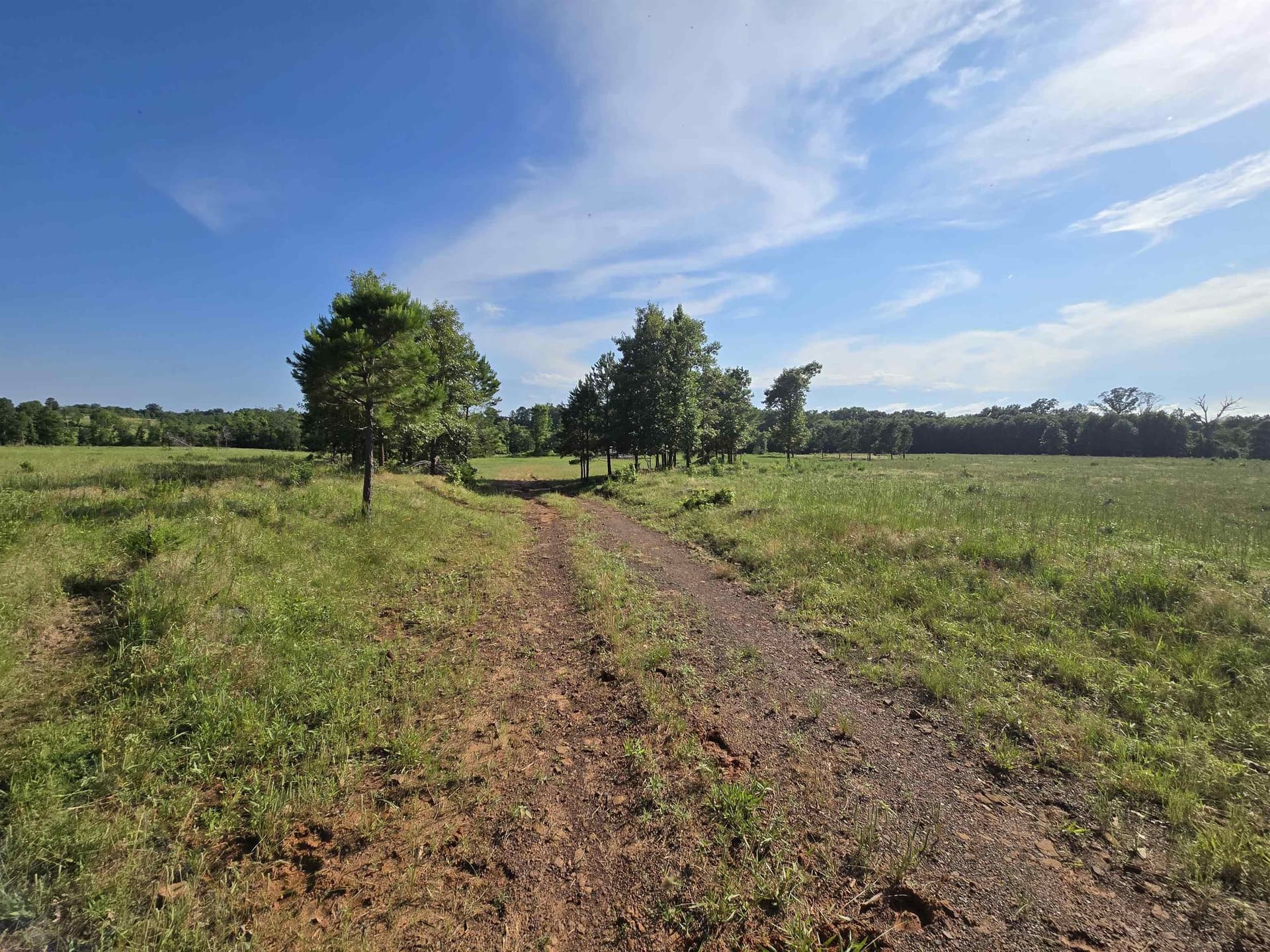 35.49 acres in Texas County - photo 6