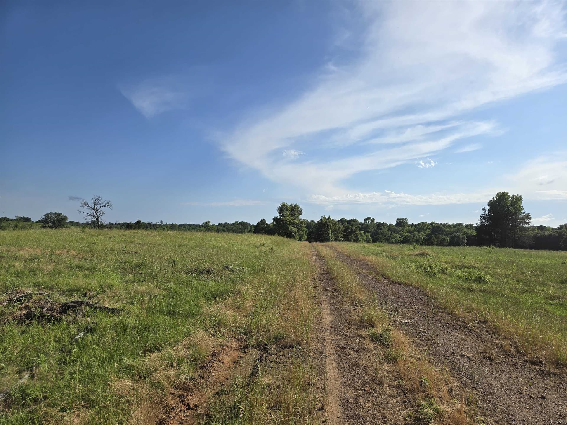 35.49 acres in Texas County - photo 9