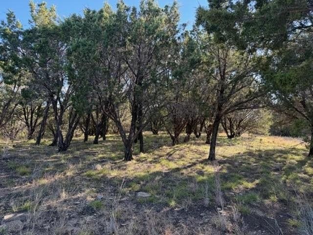 2.02 acres in Palo Pinto County - photo 4
