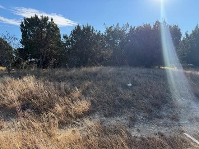2.02 acres in Palo Pinto County - photo 6