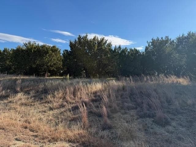 2.02 acres in Palo Pinto County - photo 5