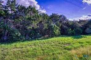 1.26 acres in Comal County - photo 4