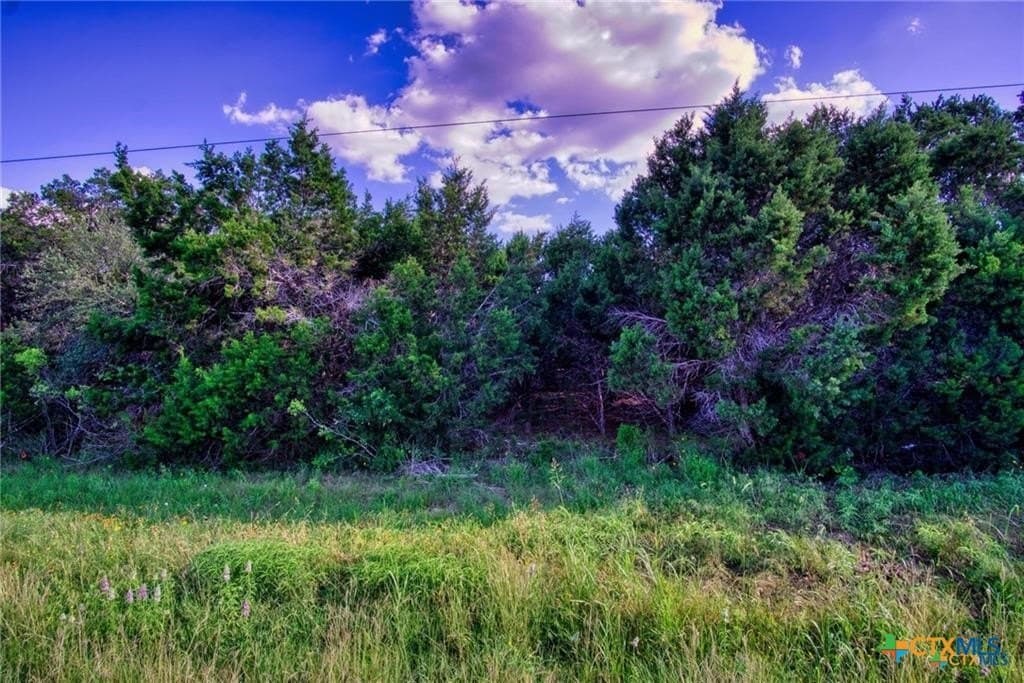 1.26 acres in Comal County - photo 2