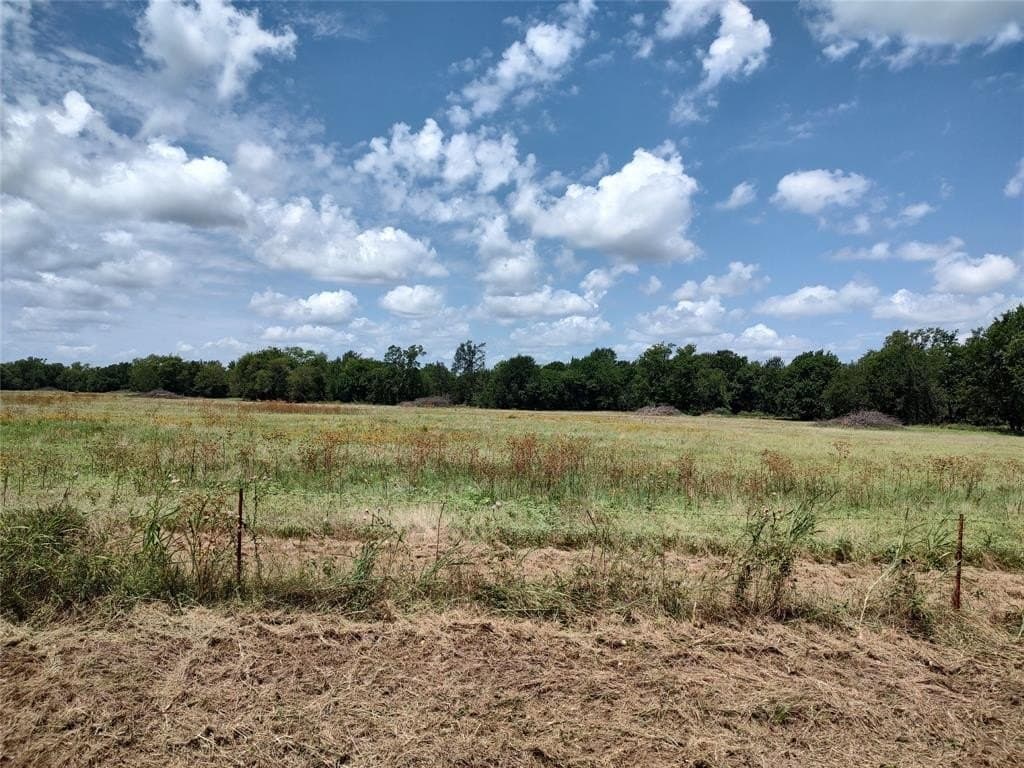 19 acres in Hopkins County - photo 4