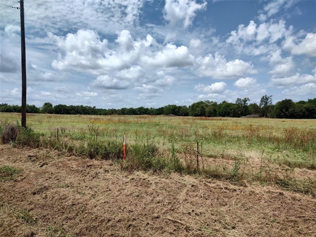 19 acres in Hopkins County - photo 3