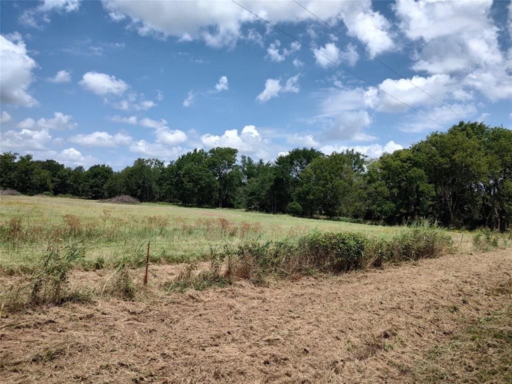 19 acres in Hopkins County - photo 5