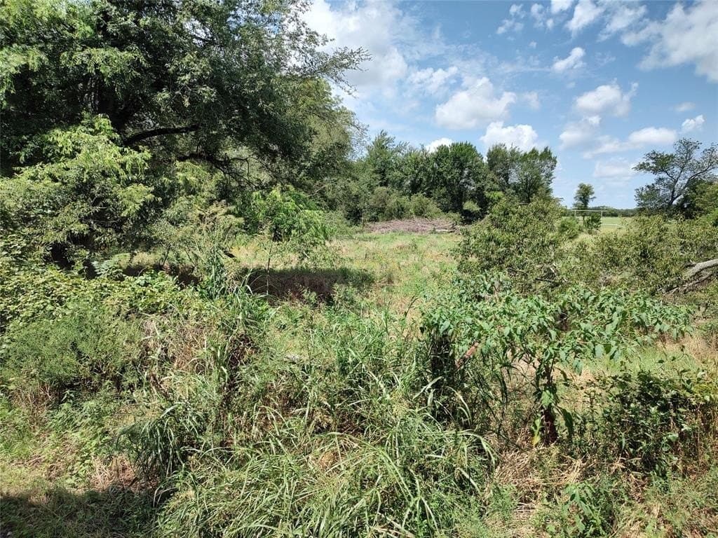 19 acres in Hopkins County - photo 2