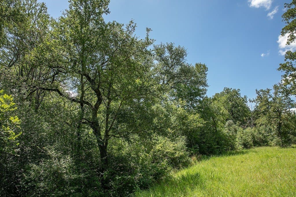 4.5 acres in Washington County - photo 2
