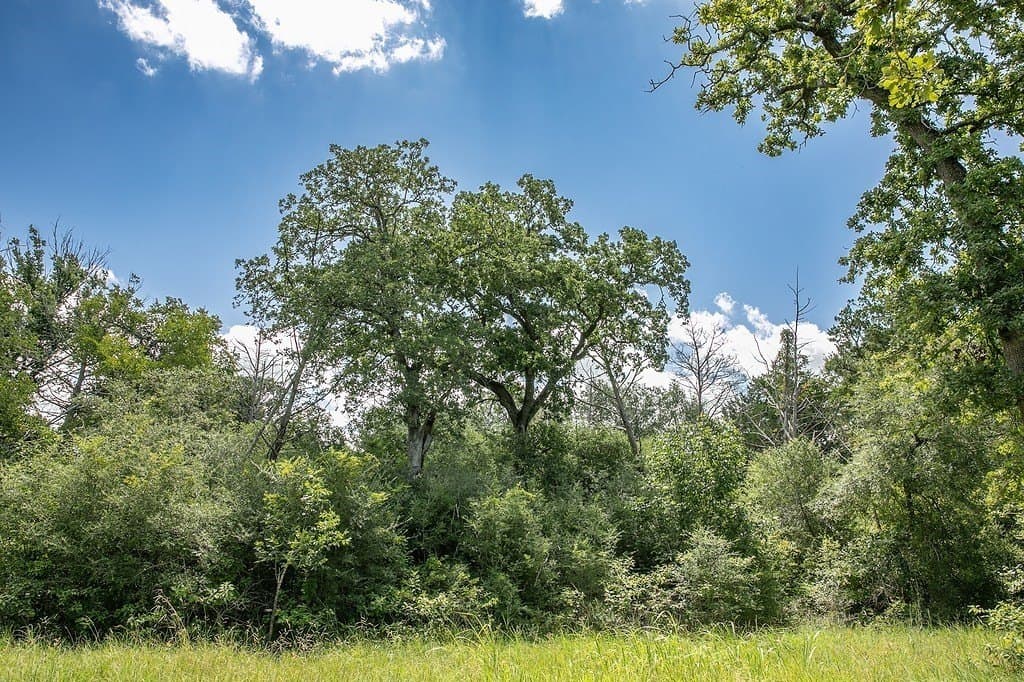 4.5 acres in Washington County - photo 6