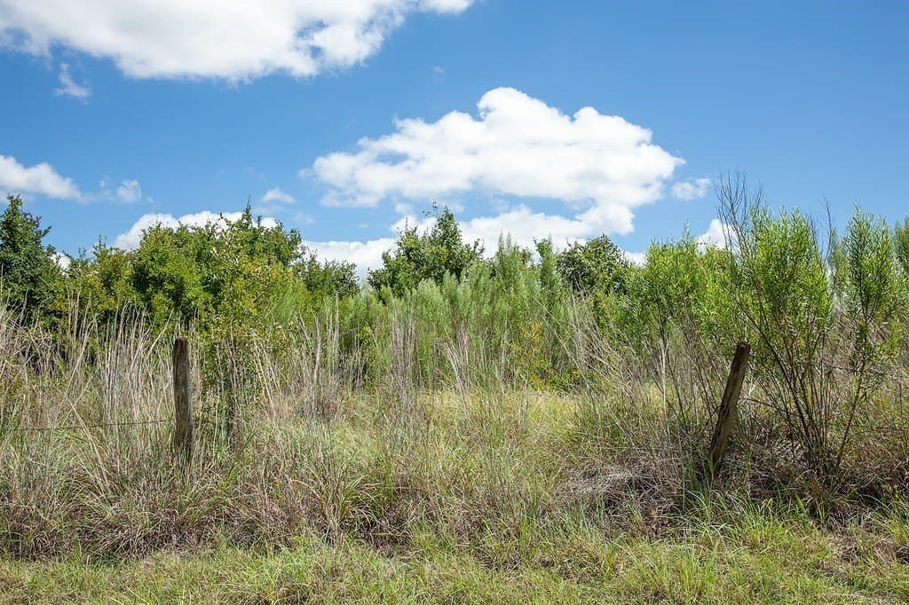 4.5 acres in Washington County - photo 9
