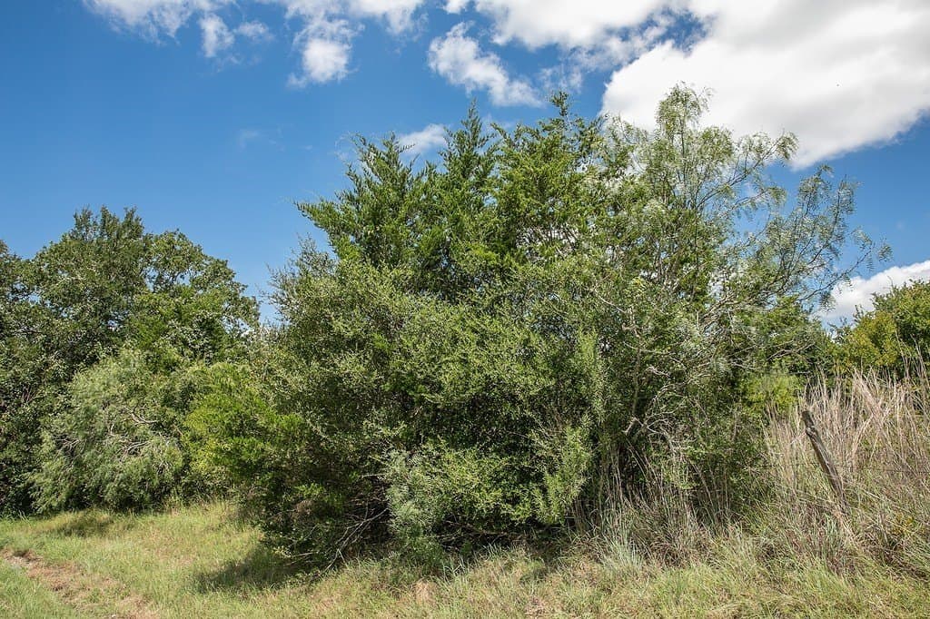 4.5 acres in Washington County - photo 7