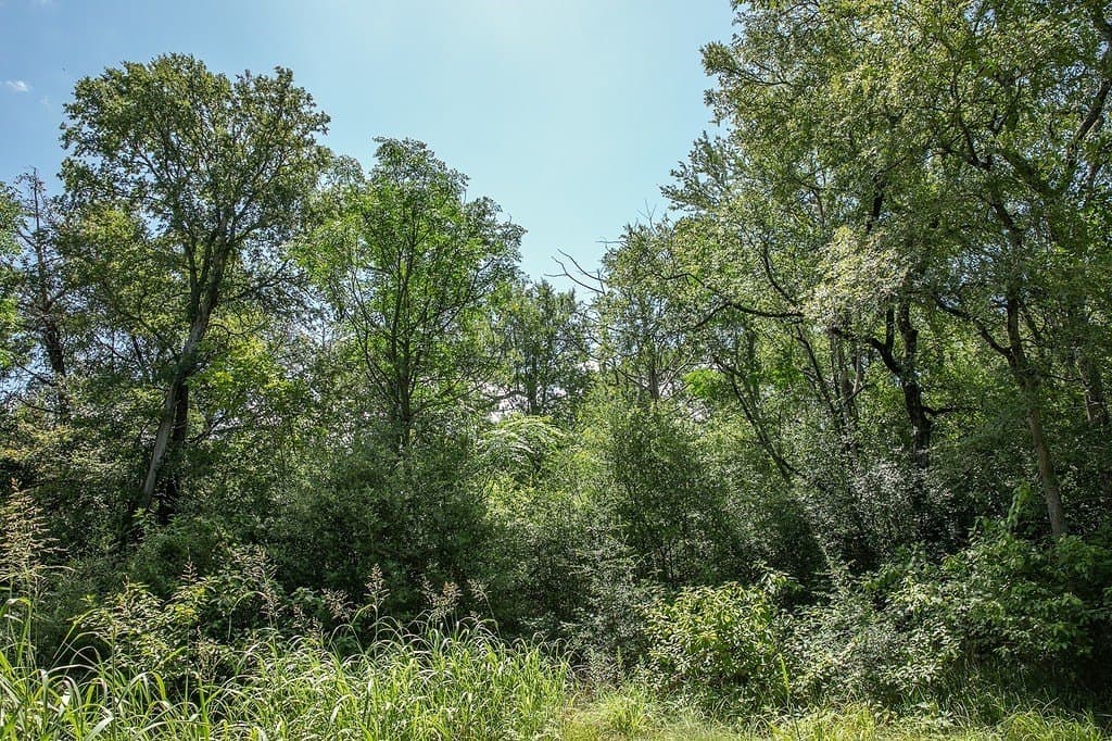 4.5 acres in Washington County - photo 3