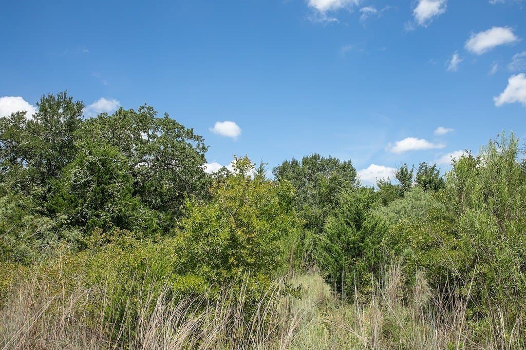 4.5 acres in Washington County - photo 5