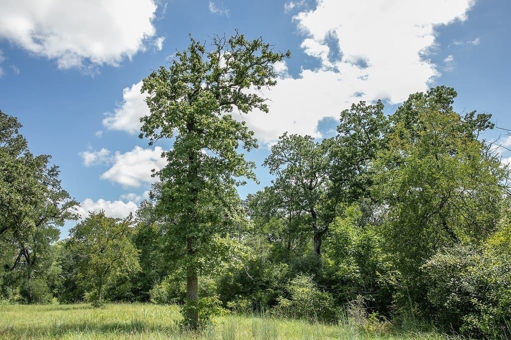 4.5 acres in Washington County - photo 8