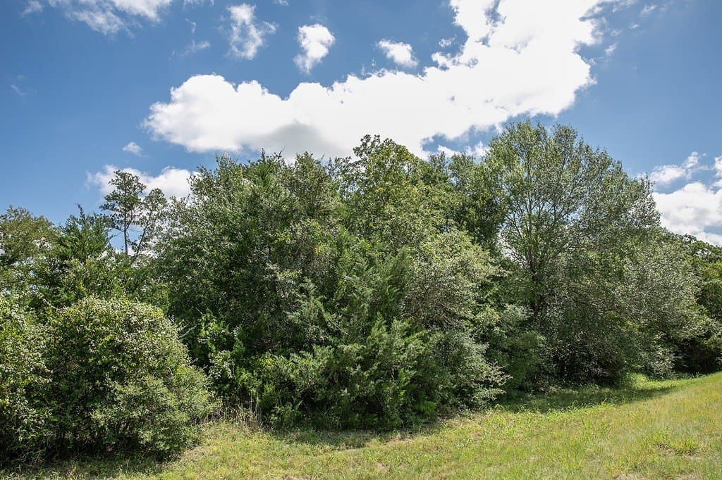 4.5 acres in Washington County - photo 4