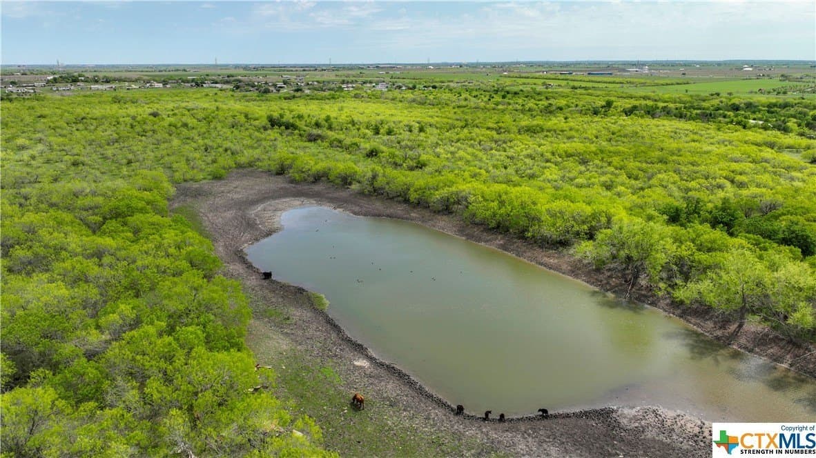 183.18 acres in Guadalupe County - photo 11