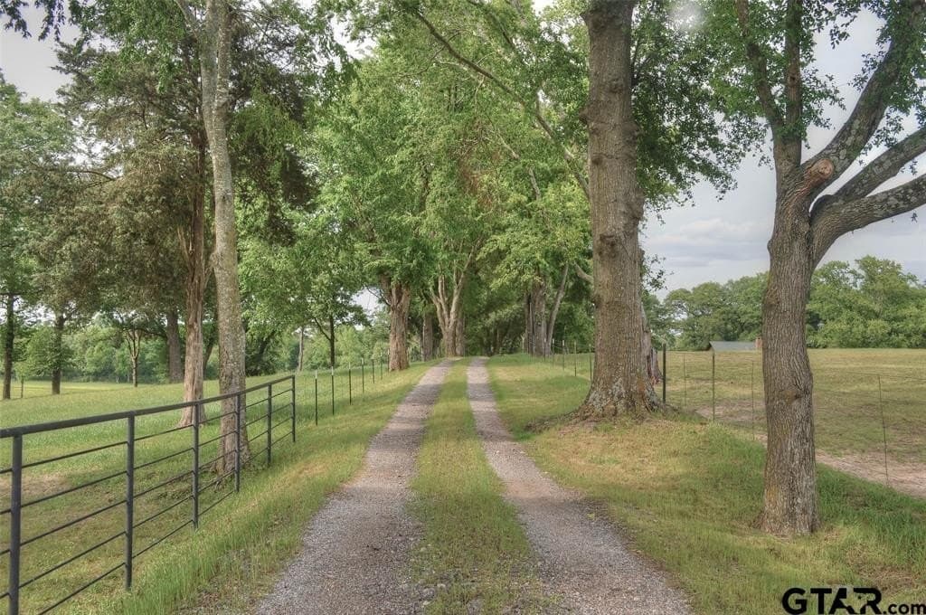64.33 acres in Upshur County - photo 20