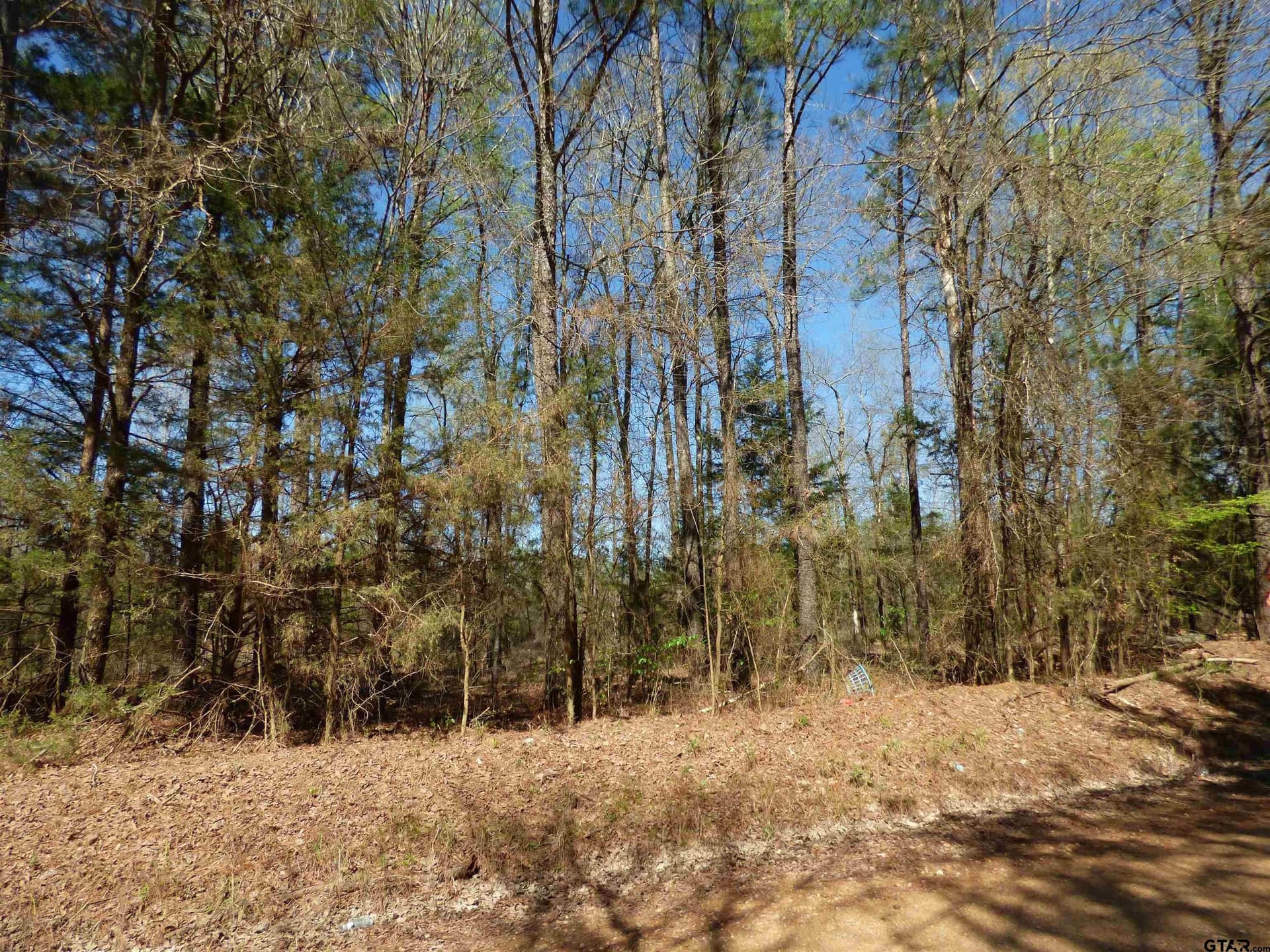 19.08 acres in Bowie County - photo 7