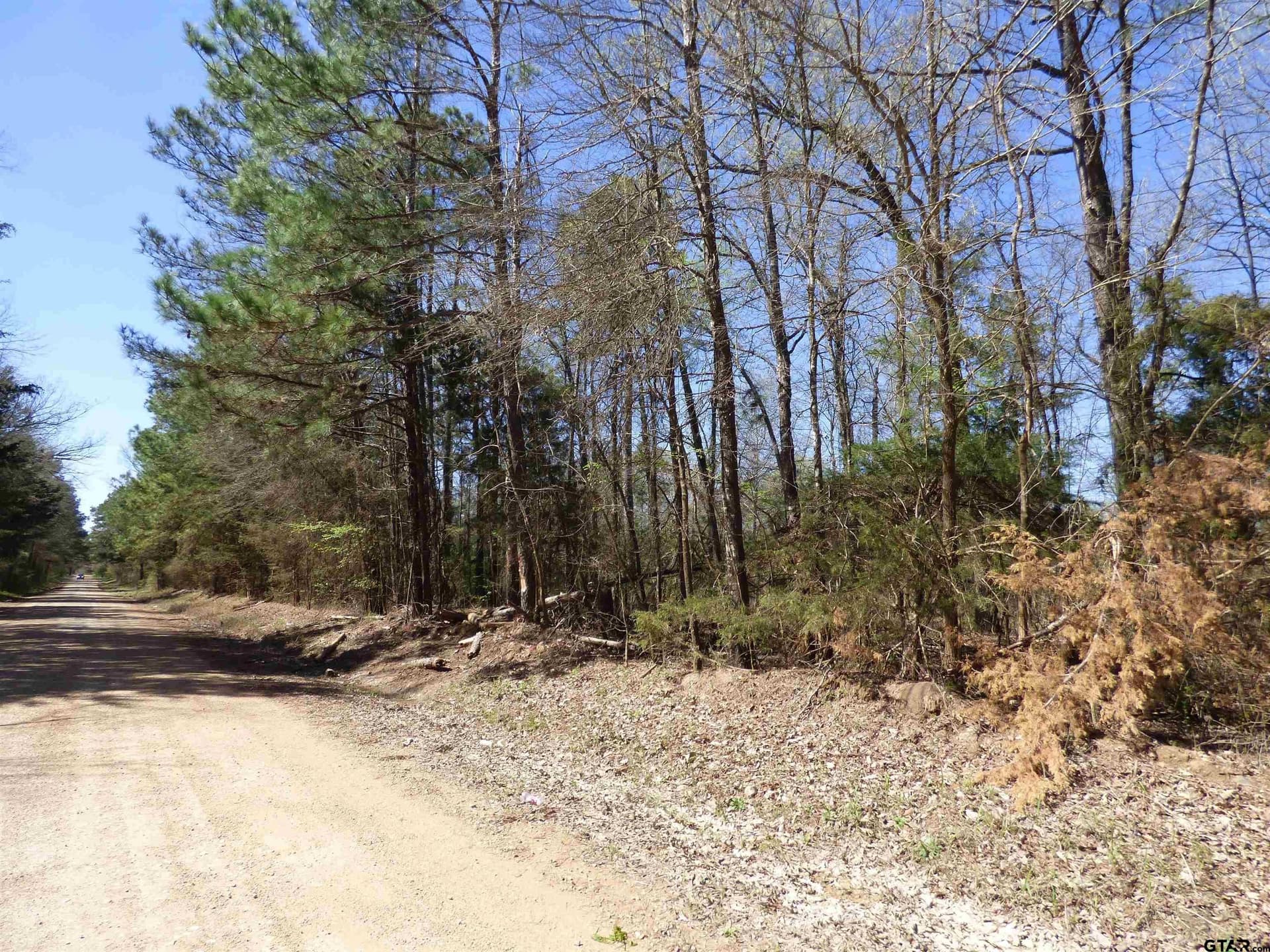 19.08 acres in Bowie County - photo 2