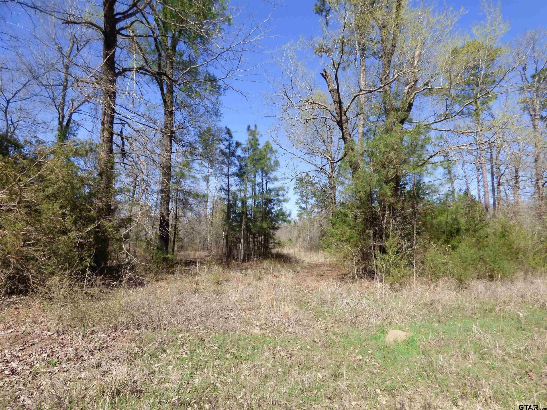 19.08 acres in Bowie County - photo 3