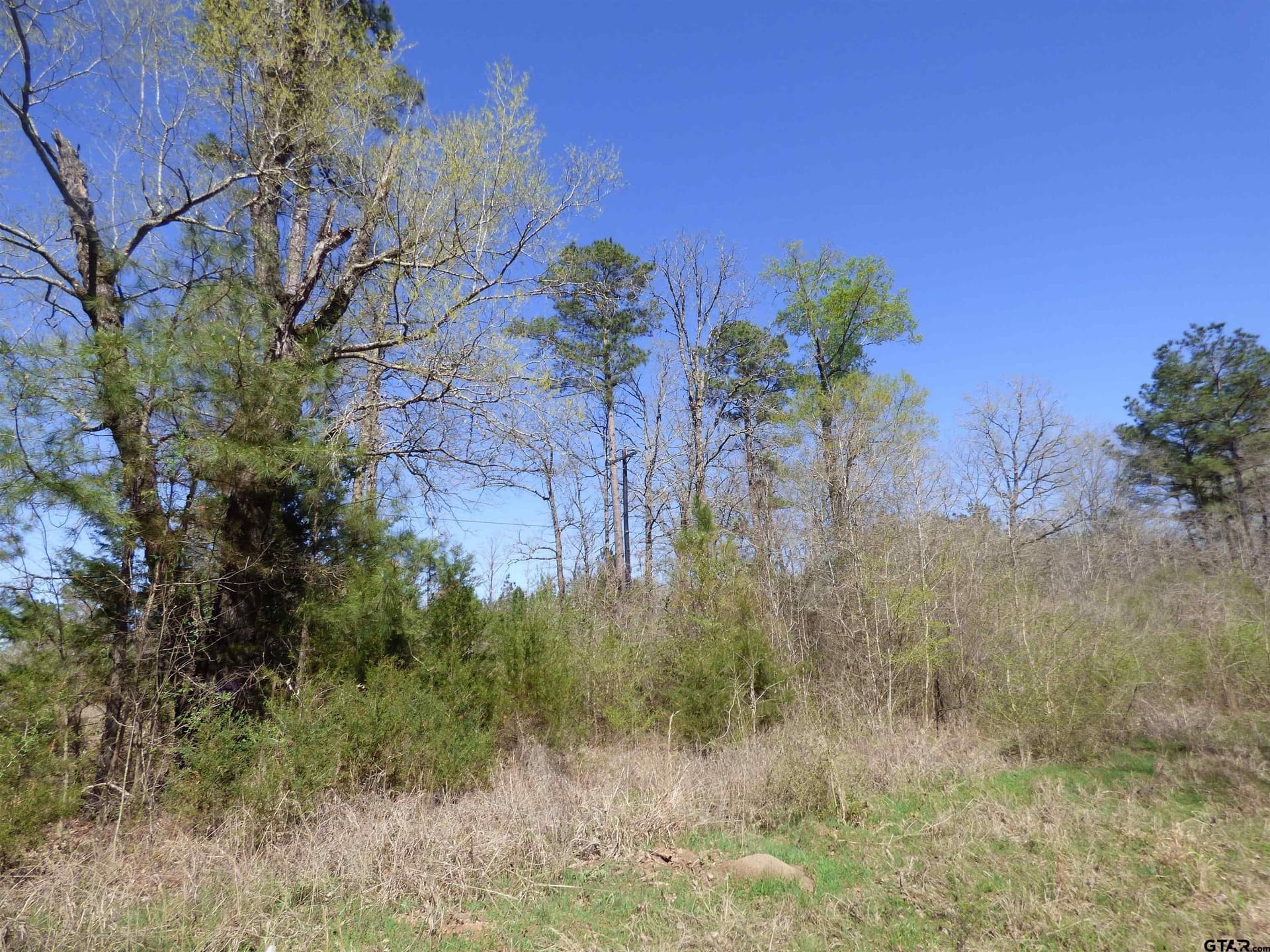 19.08 acres in Bowie County - photo 4