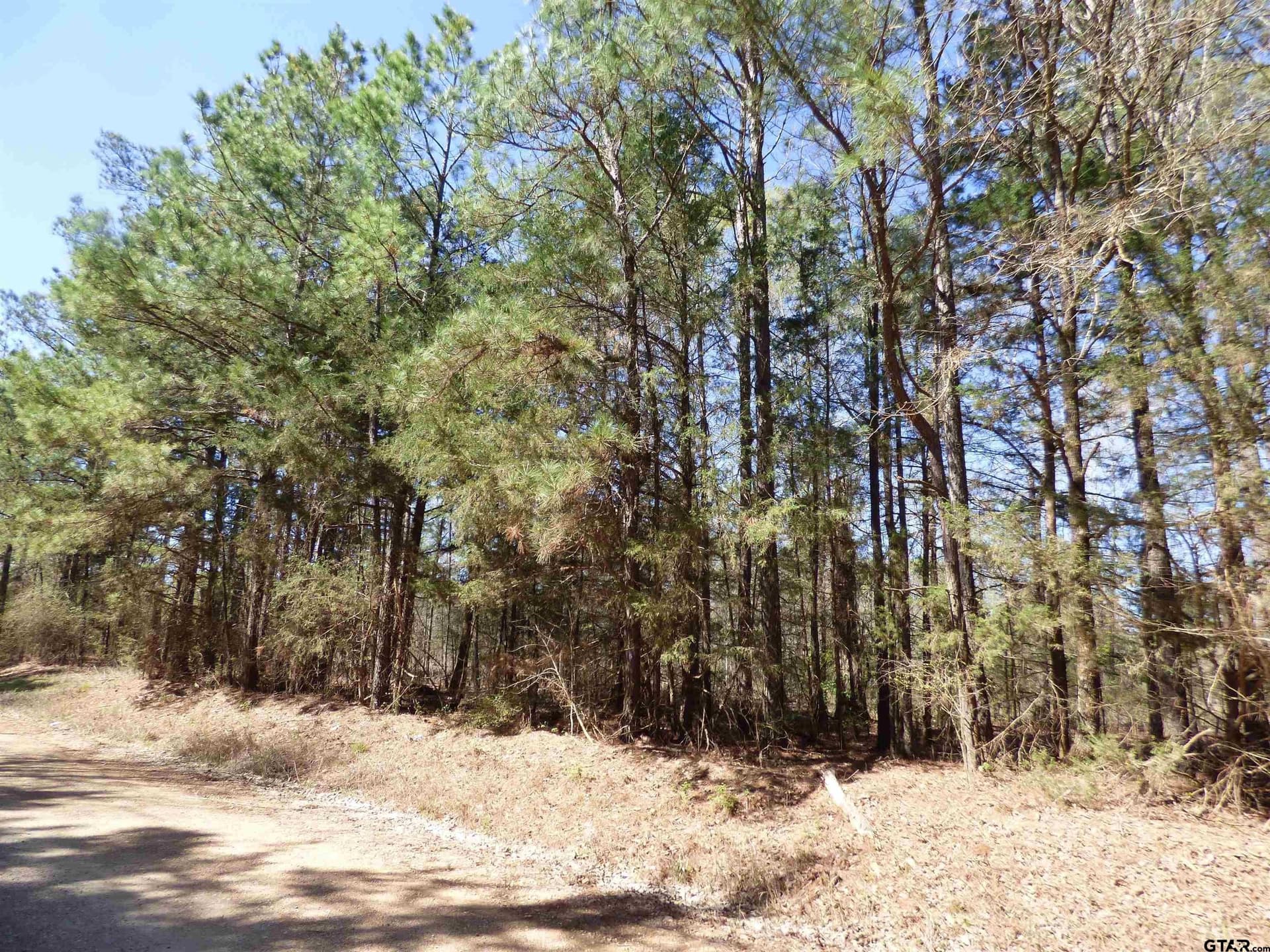19.08 acres in Bowie County - photo 6
