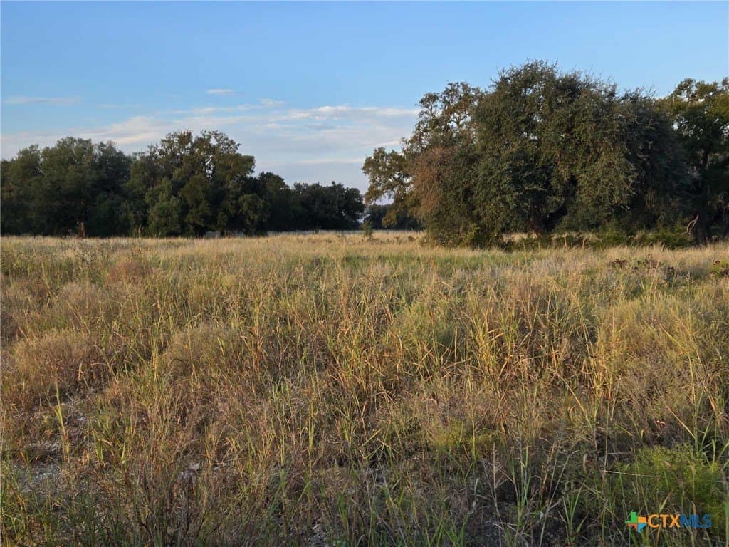 7.38 acres in Coryell County - photo 7