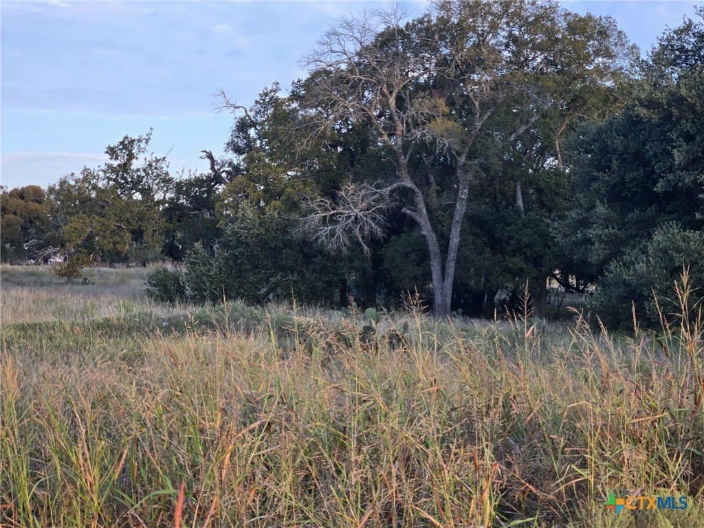 7.38 acres in Coryell County - photo 10
