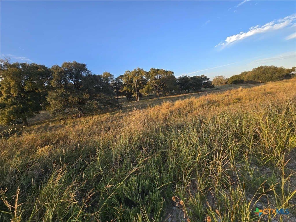 7.38 acres in Coryell County - photo 12