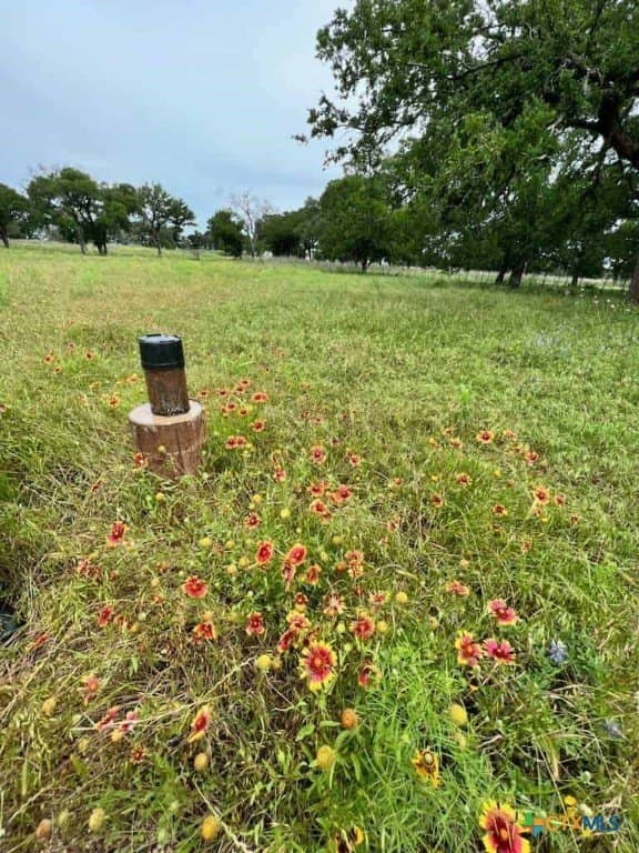 7.38 acres in Coryell County - photo 13