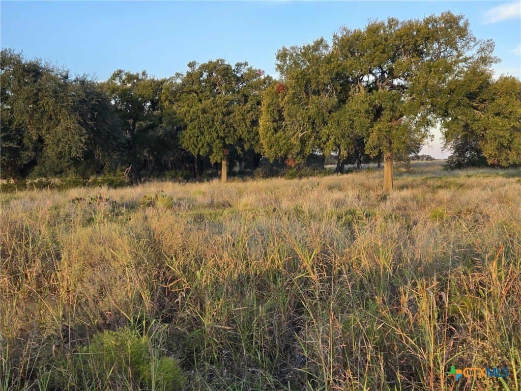 7.38 acres in Coryell County - photo 6