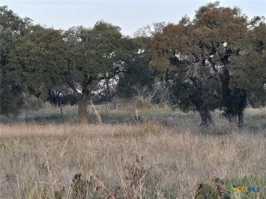 7.38 acres in Coryell County - photo 11