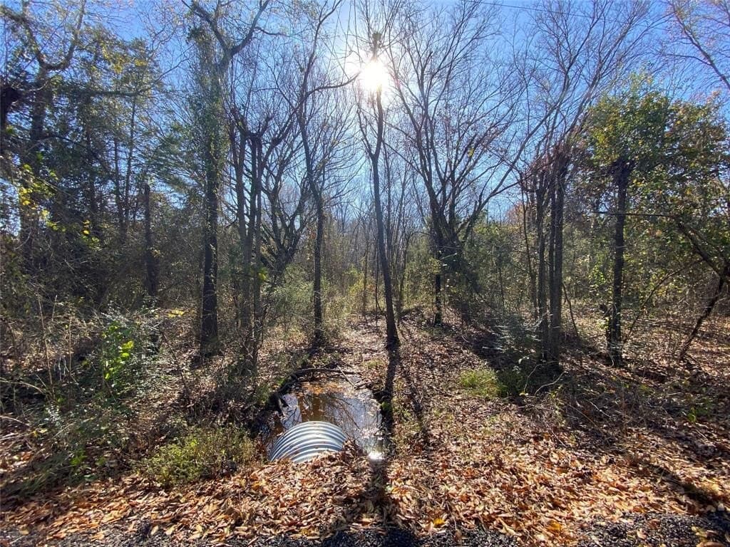 1 acres in Delta County - photo 2