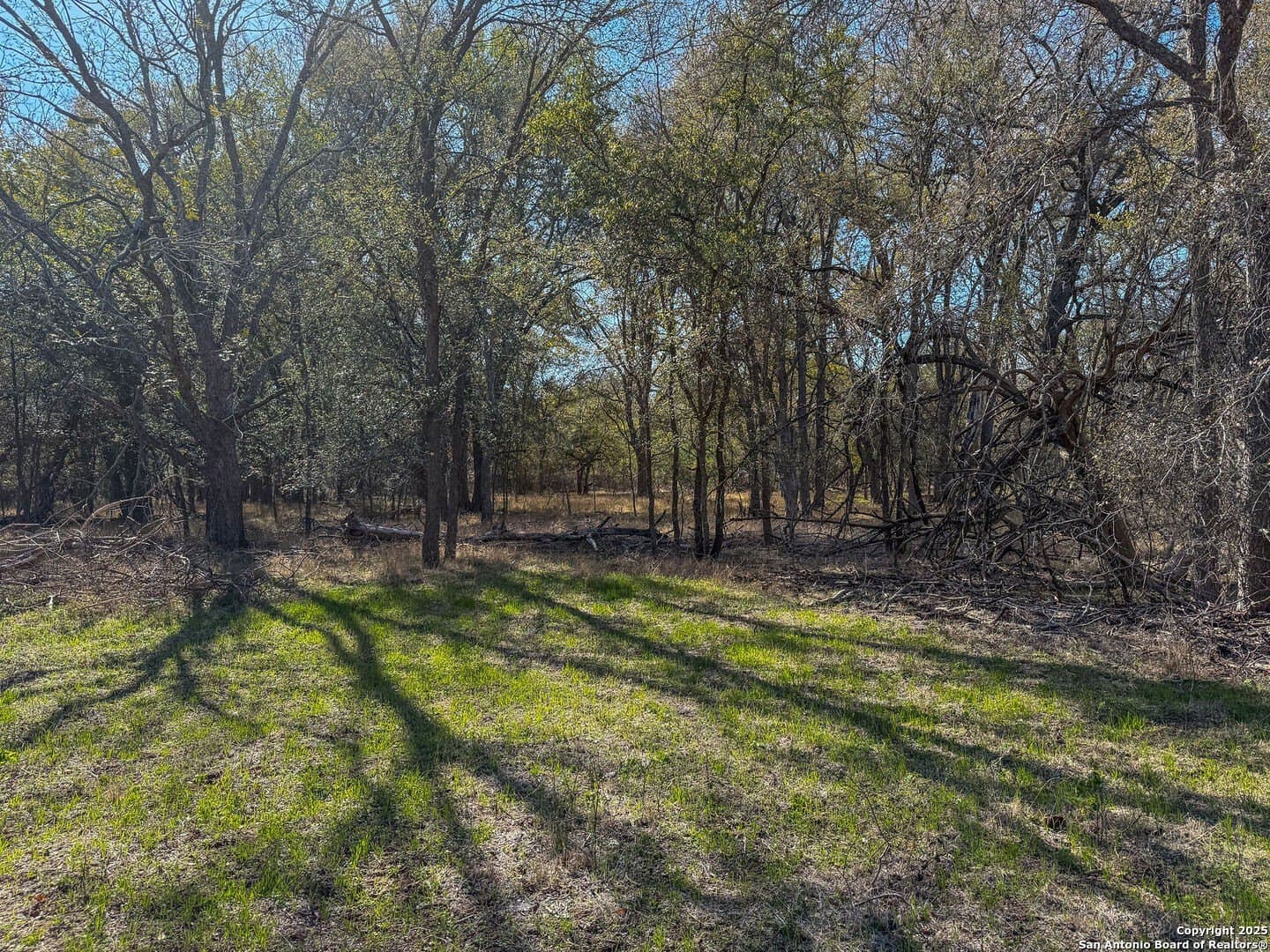38.57 acres in Guadalupe County - photo 11
