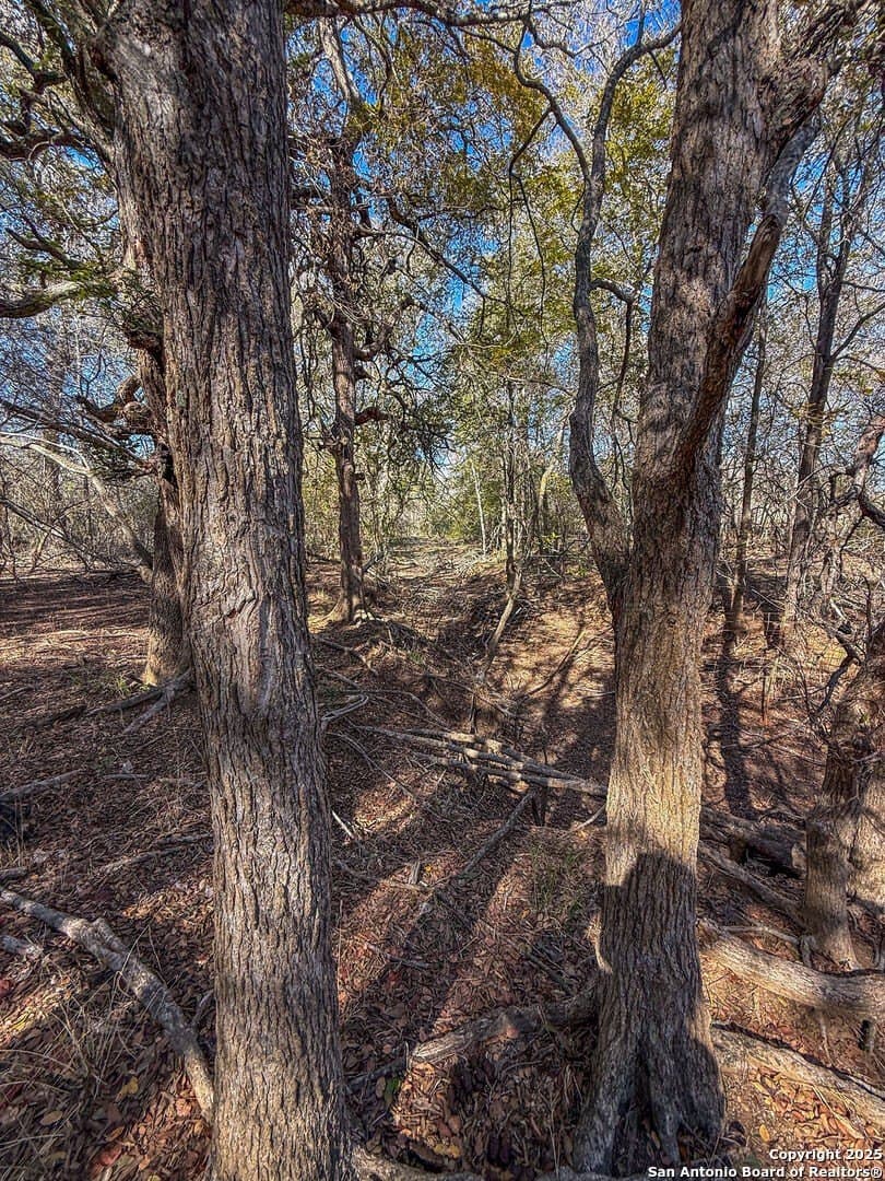 38.57 acres in Guadalupe County - photo 12