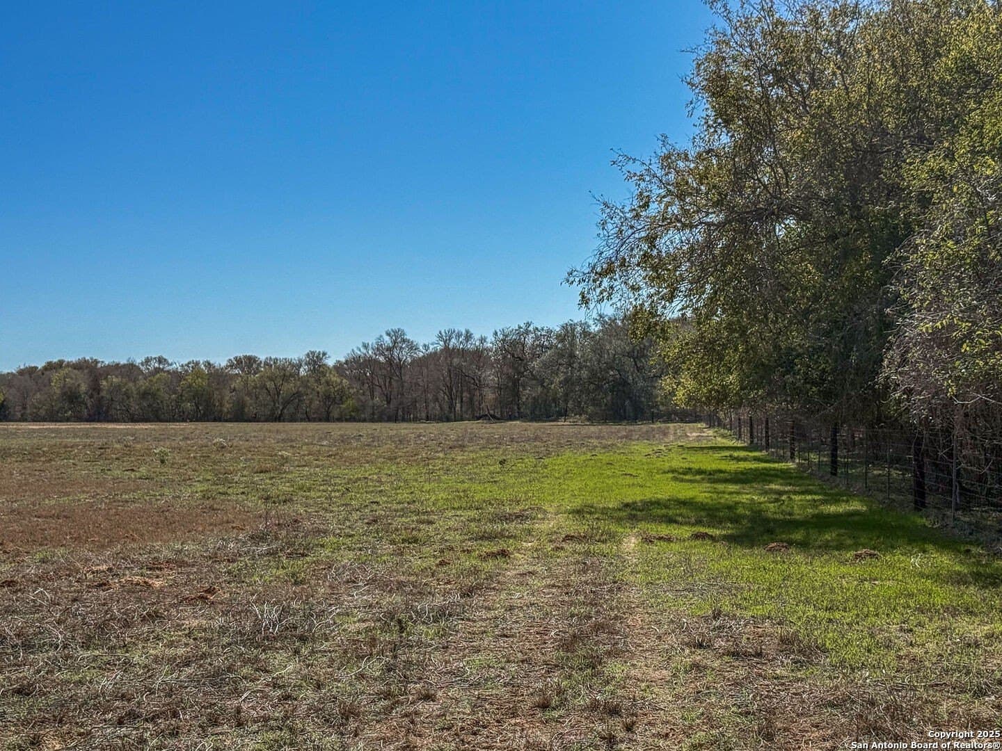 38.57 acres in Guadalupe County - photo 4