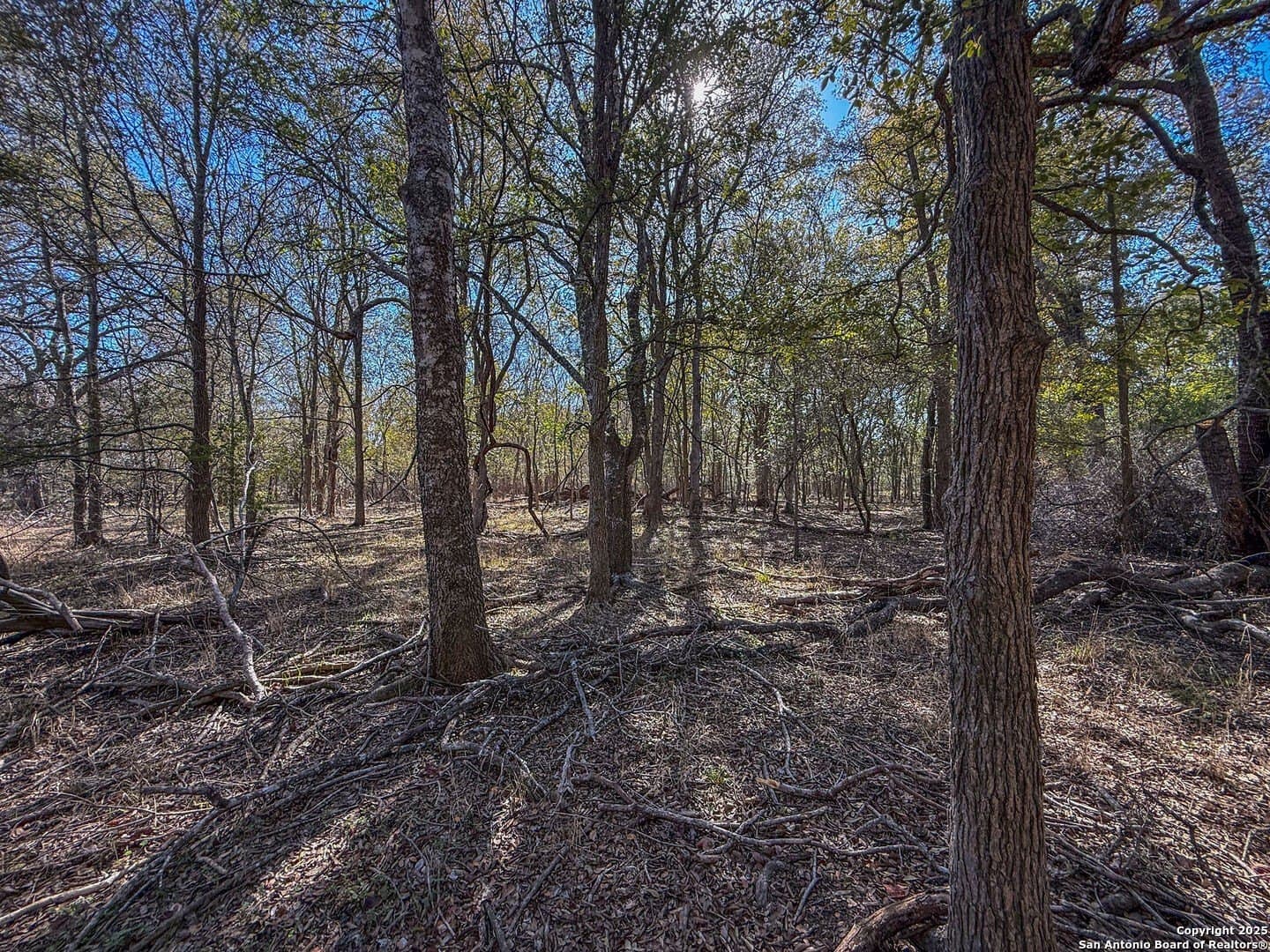 38.57 acres in Guadalupe County - photo 14
