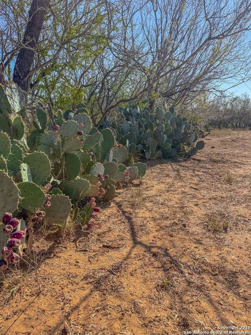 38.57 acres in Guadalupe County - photo 6