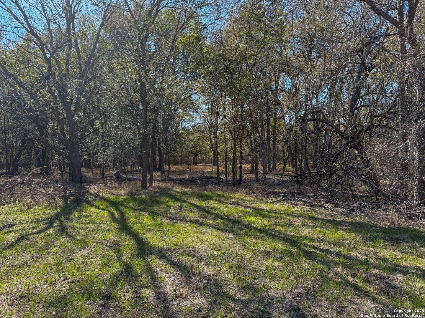 38.57 acres in Guadalupe County - photo 10