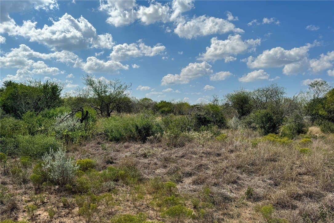 11.9 acres in Live Oak County - photo 2
