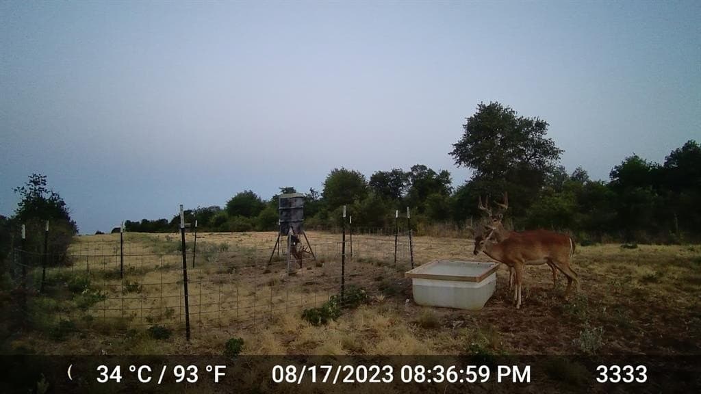 11653 FM 1226 Parcel C
