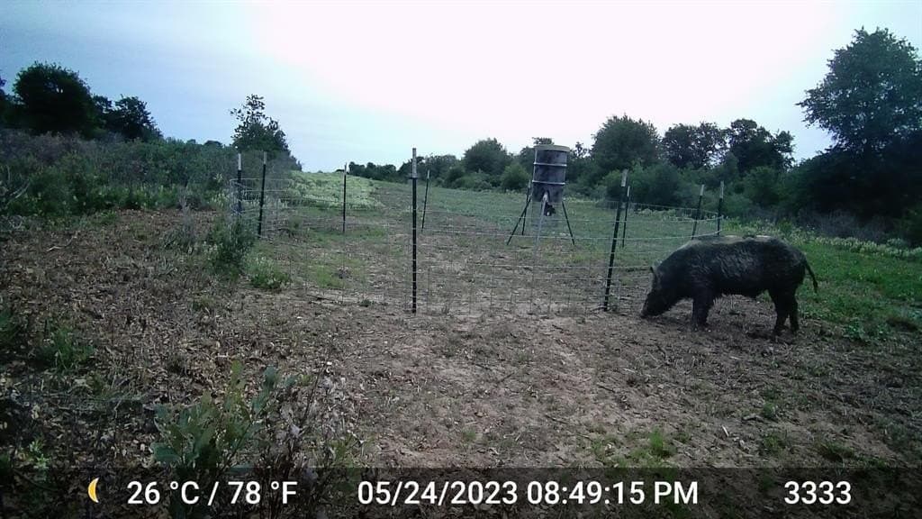 20 acres in Jones County - photo 3
